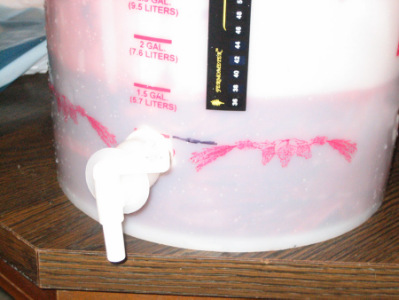 Wow! One and a half gallons of crushed Blackberries!