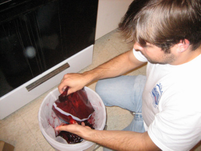 In go the berries.